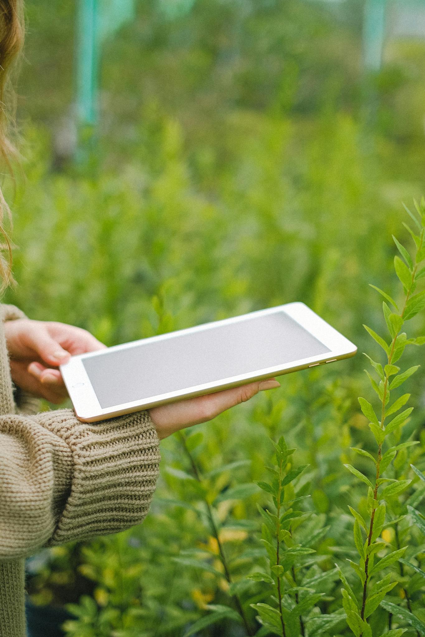 Effective Blog Promotion: Strategies to Increase Your Reach